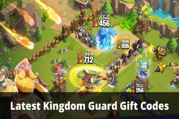 code-kingdom-guard